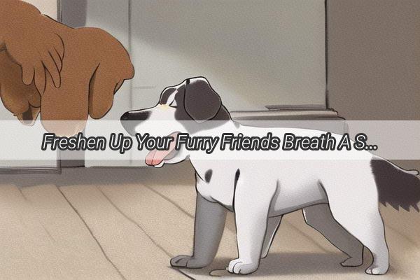 Freshen Up Your Furry Friends Breath A StepbyStep Guide to Using Doggy Mouthwash